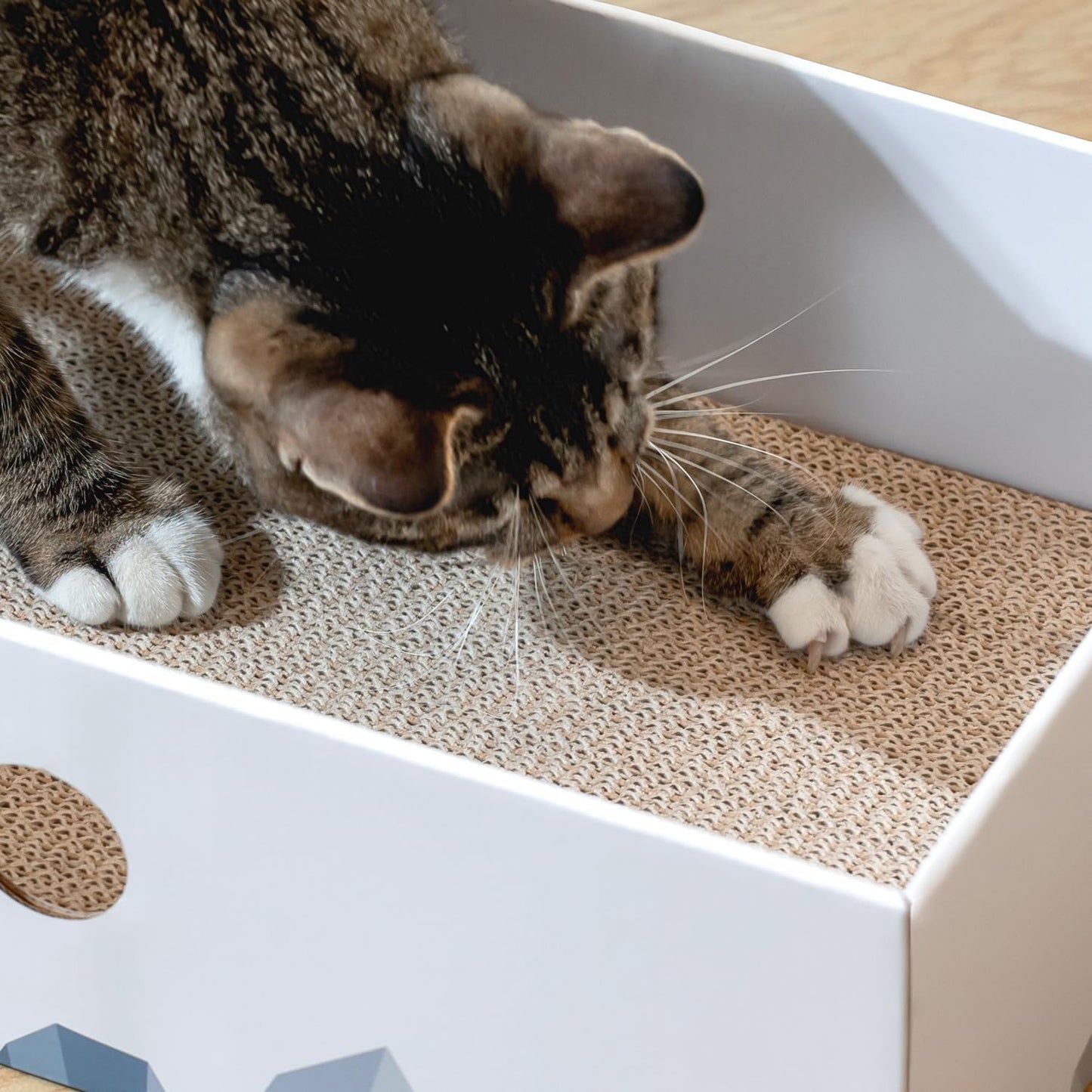 Heavy-Duty Double-Sided Cardboard Cat Scratcher Box with Interactive Design, Large Indoor Cat Lounger and Bed, White