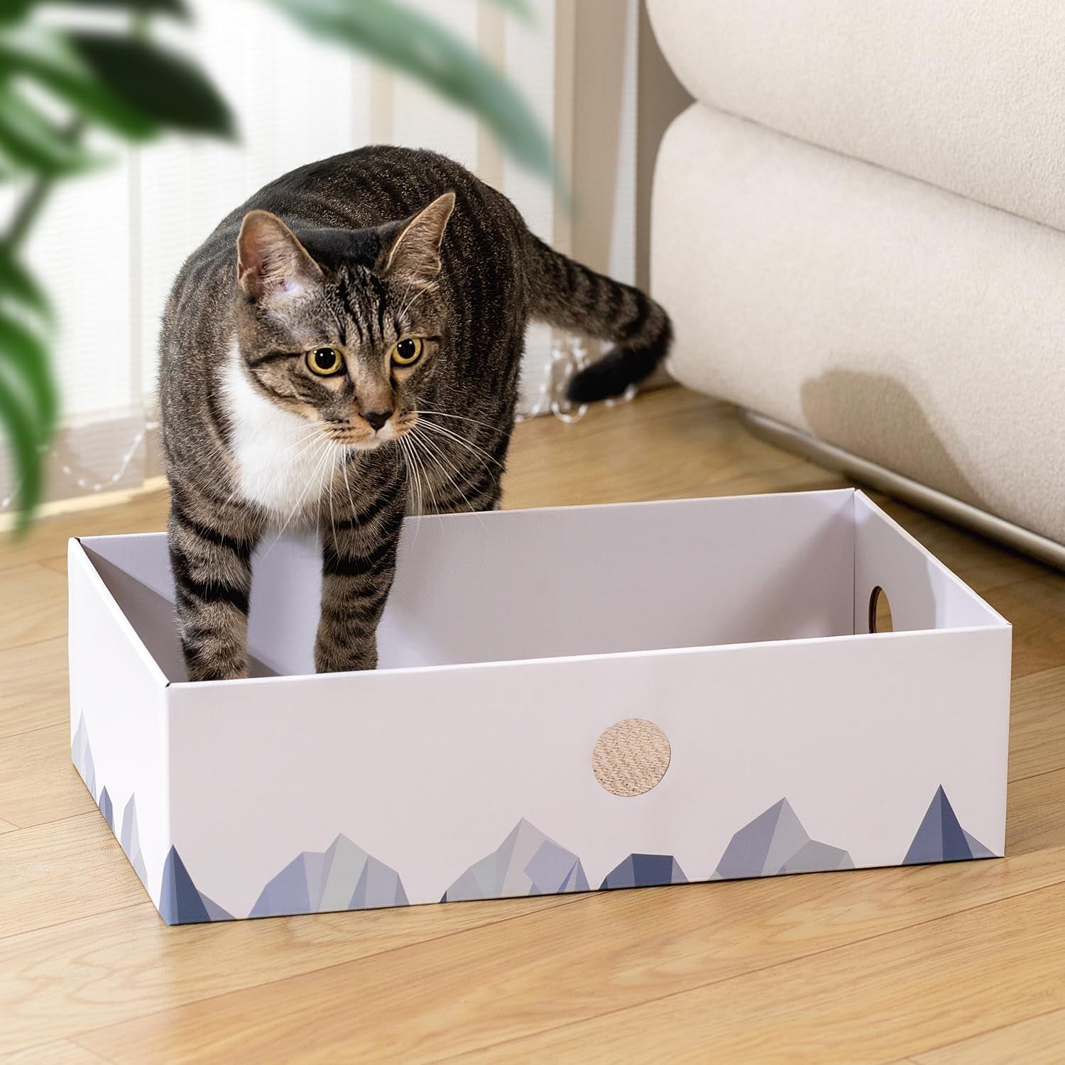 Heavy-Duty Double-Sided Cardboard Cat Scratcher Box with Interactive Design, Large Indoor Cat Lounger and Bed, White