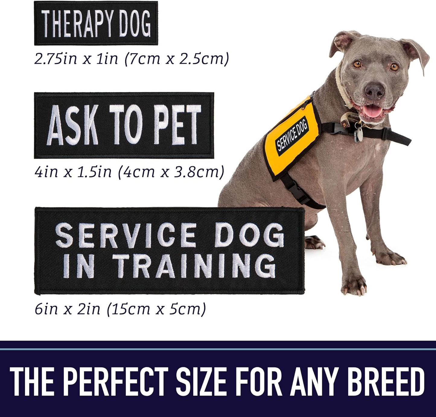 Service Dog Patches for Harness | Patches for Dog Harness or Vest | Do Not Pet Patch, Dog in Training, Service Dog, Emotional Support | Removable Hook and Loop Embroidered Patches