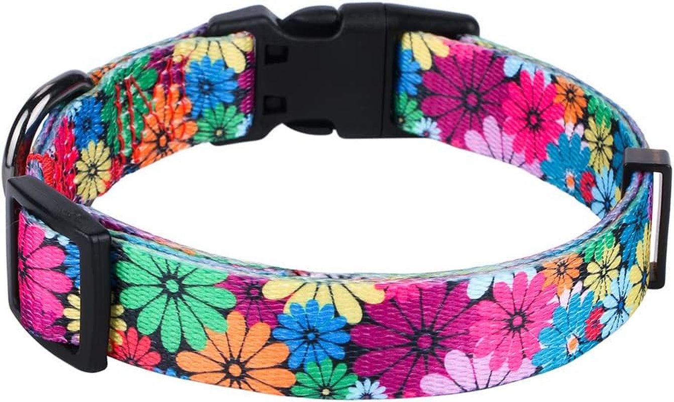 Floral Pattern Dog Collar for Small to Large Breeds - Medium Size (Neck 13.1''-19'', Width 3/4'')