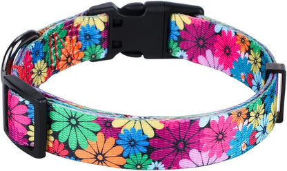Floral Pattern Dog Collar for Small to Large Breeds - Medium Size (Neck 13.1''-19'', Width 3/4'')