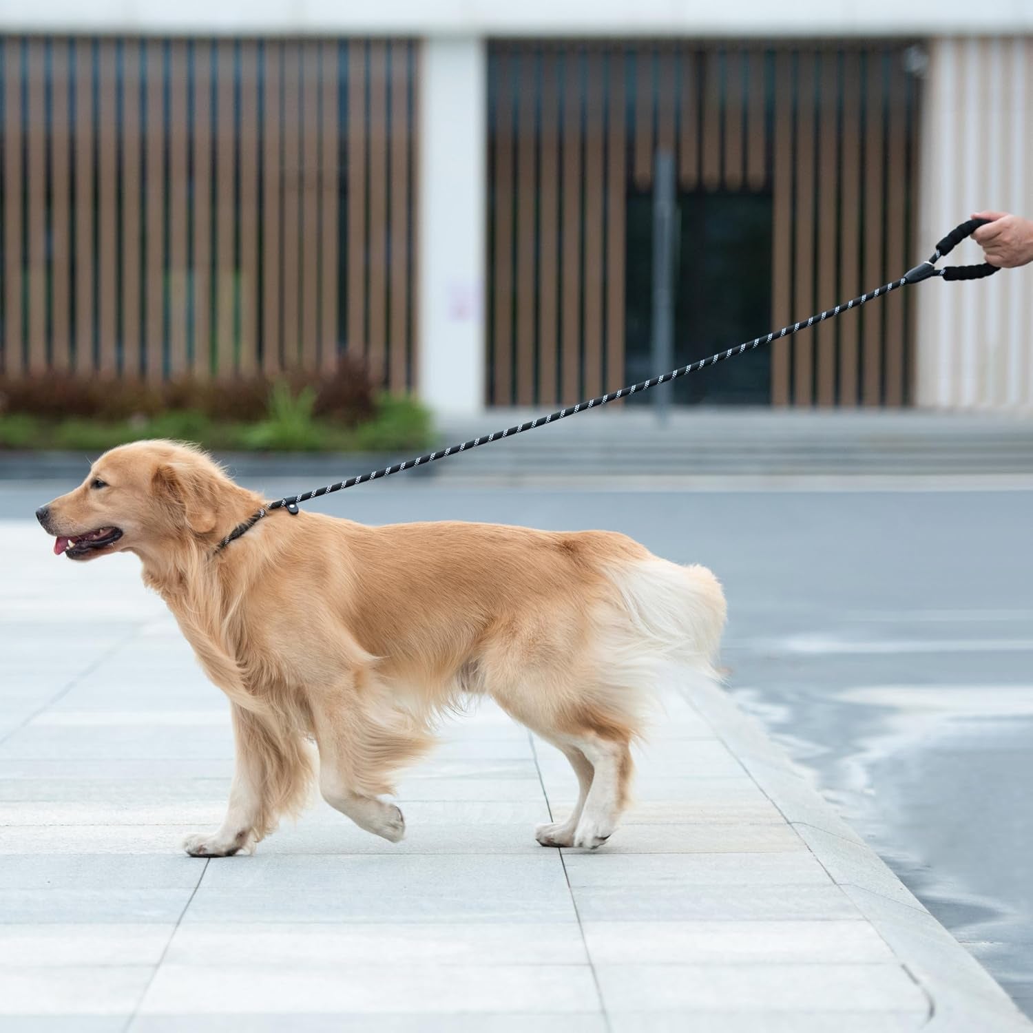 Durable 4 FT Slip Lead Dog Leash - 1/2" Black with Padded Handle, Reflective Threads, and No Pull Design for Training