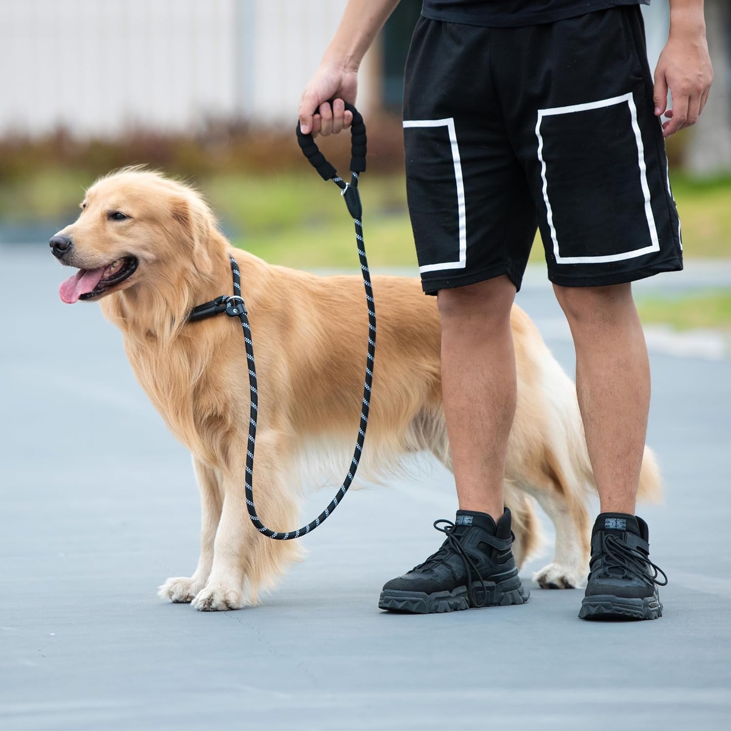 Durable 4 FT Slip Lead Dog Leash - 1/2" Black with Padded Handle, Reflective Threads, and No Pull Design for Training