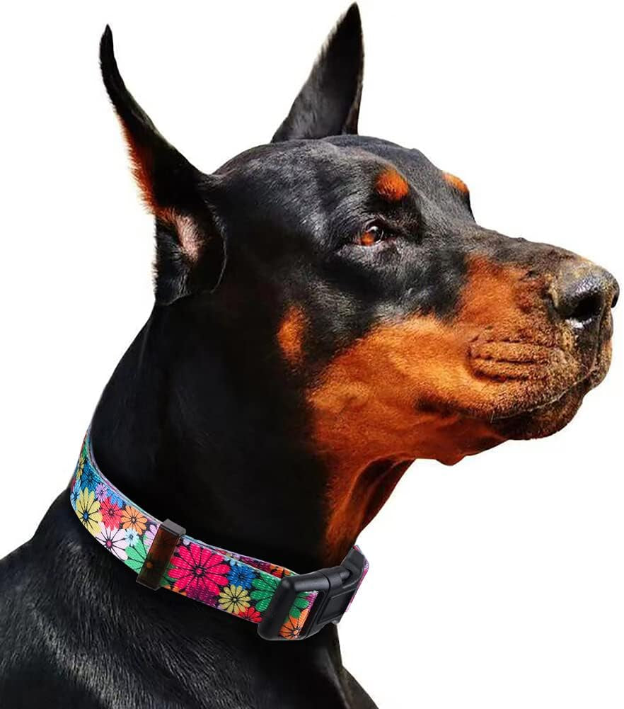 Floral Pattern Dog Collar for Small to Large Breeds - Medium Size (Neck 13.1''-19'', Width 3/4'')