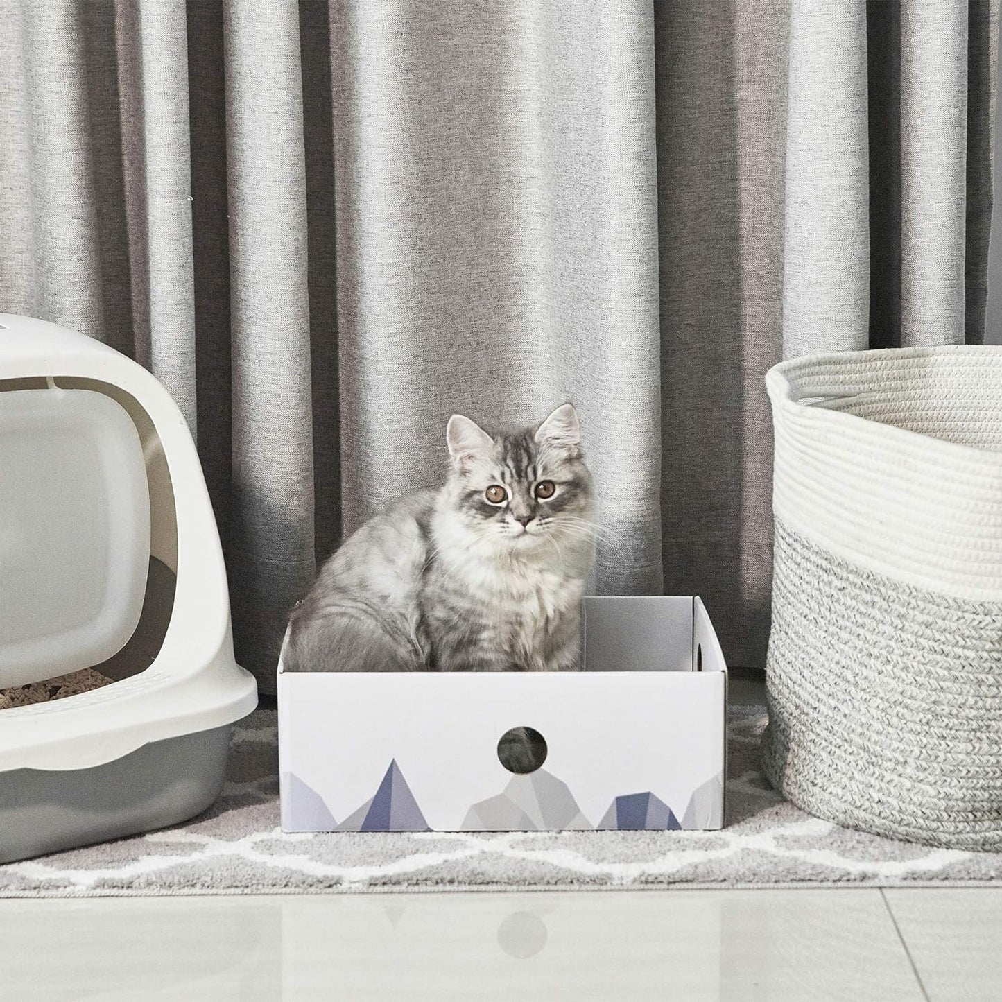Heavy-Duty Double-Sided Cardboard Cat Scratcher Box with Interactive Design, Large Indoor Cat Lounger and Bed, White