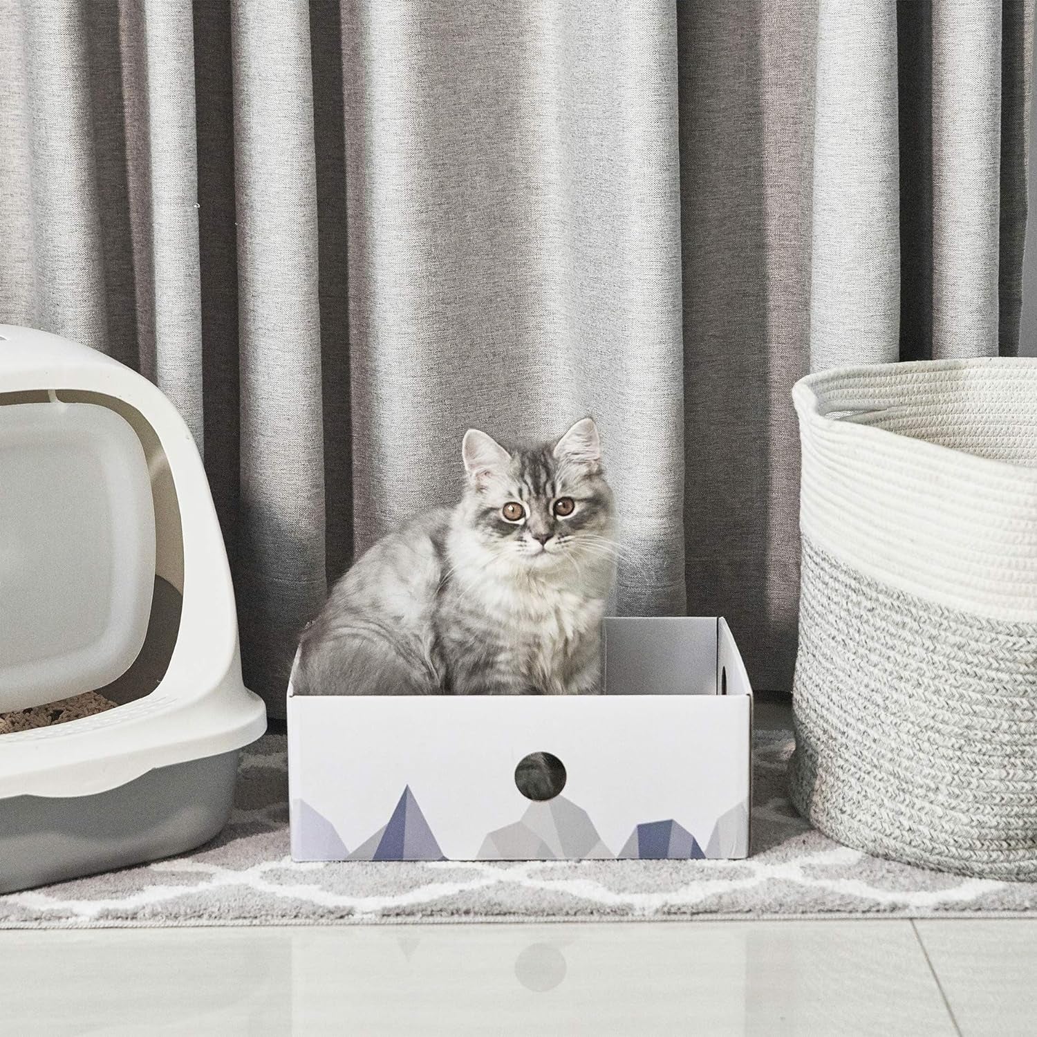 Heavy-Duty Double-Sided Cardboard Cat Scratcher Box with Interactive Design, Large Indoor Cat Lounger and Bed, White