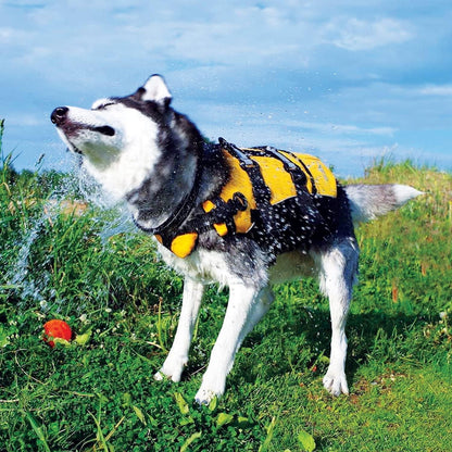 DFD Dog Life Jacket, Dog Life Vest for Swimming - Medium, Yellow | Adjustable Dog Swim Vest, Padded Neoprene Straps, Grab Handle, 50% More Flotation Material, Reflective Trim, Stays Upright