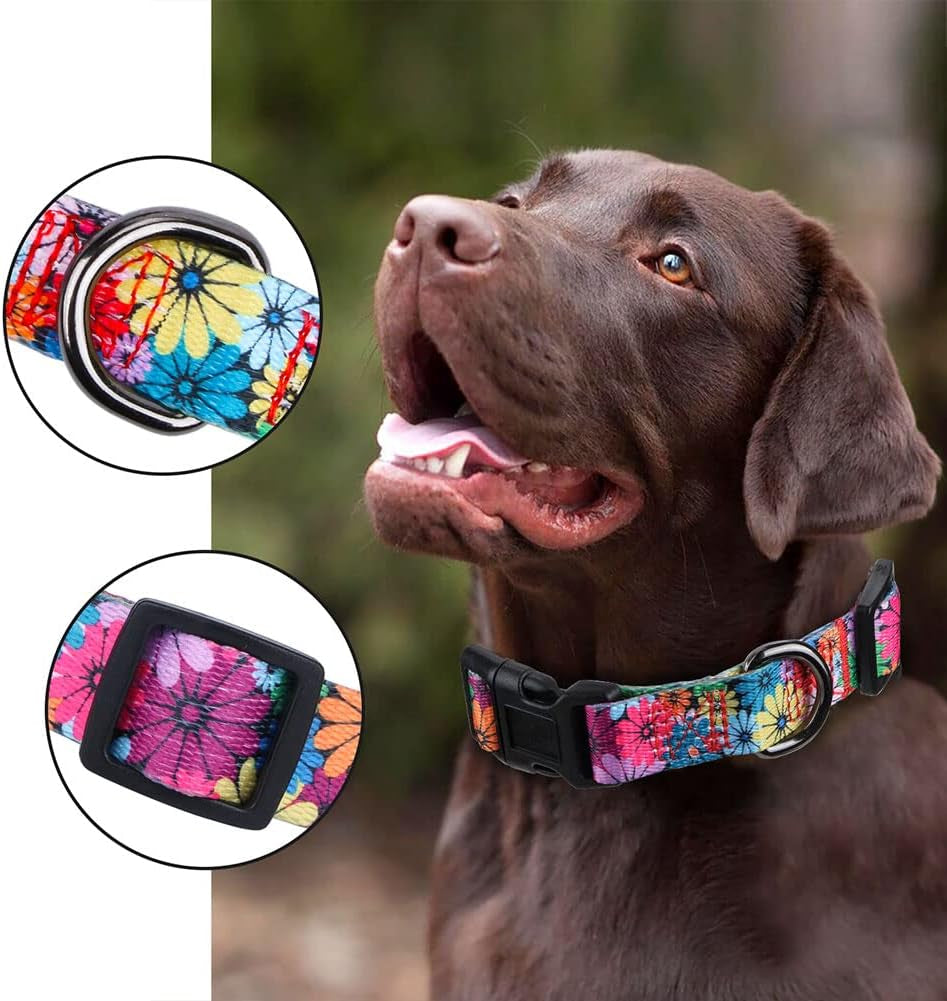Floral Pattern Dog Collar for Small to Large Breeds - Medium Size (Neck 13.1''-19'', Width 3/4'')